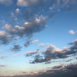 Meet your Posher, Angelina